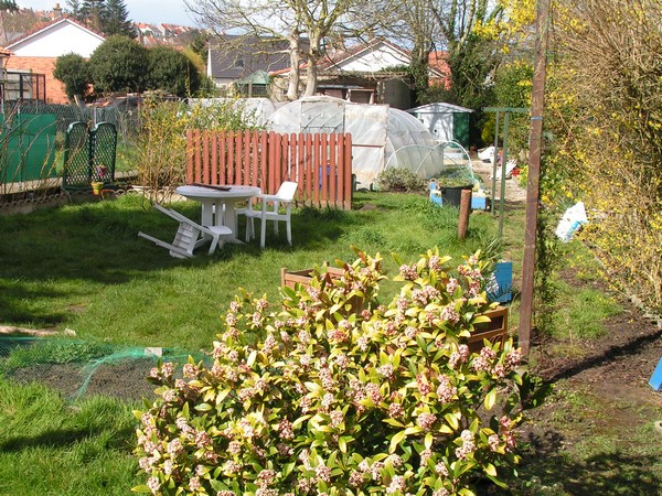 jardin 2.jpg