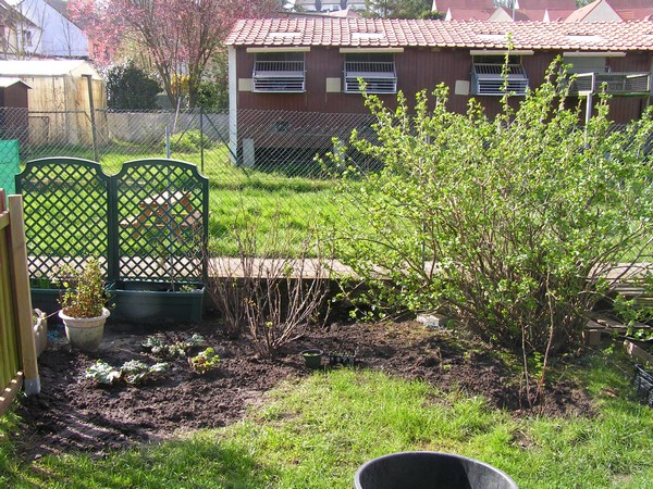 jardin 7.jpg
