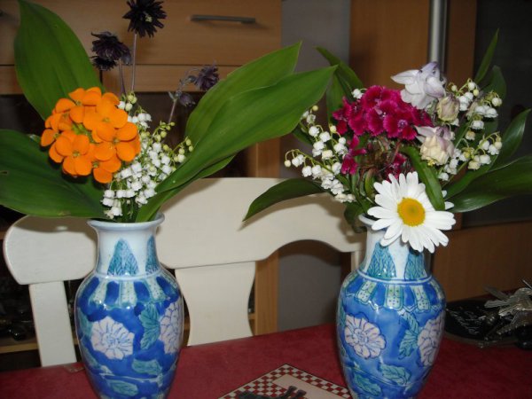 DSCN0001.JPG