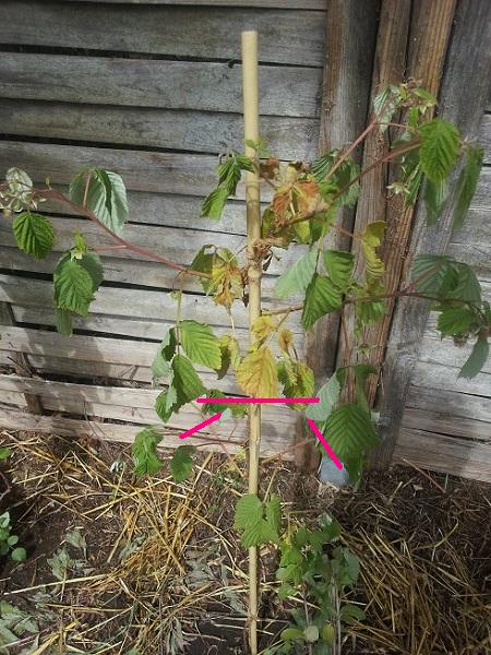 2014-05-17.jpg