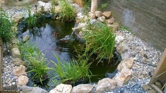 bassin.jpg