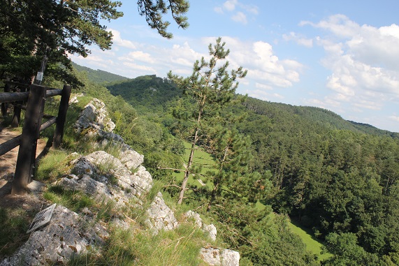 juillet 17 Han 023.JPG