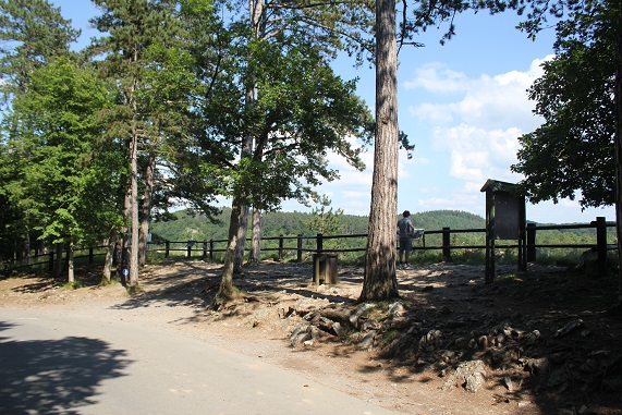 juillet 17 Han 026.JPG