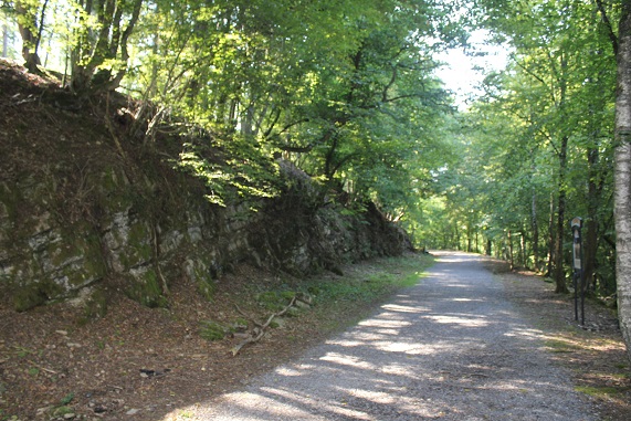 juillet 17 Han 080.JPG