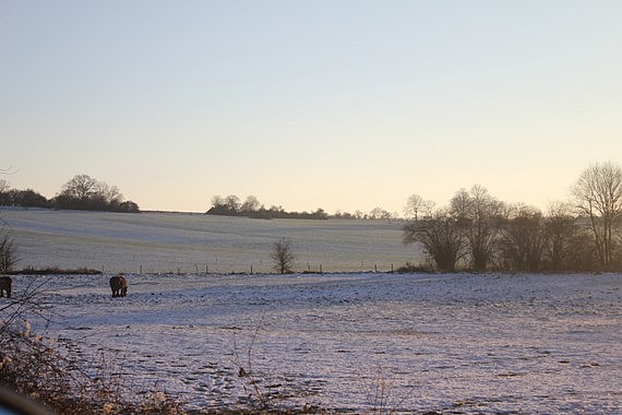 dec 29 020.jpg