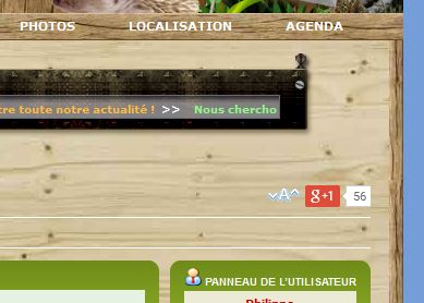 Bouton partage d'une simple page