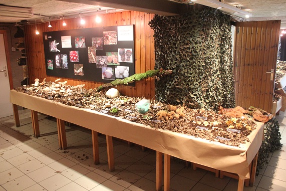 expo 086.JPG