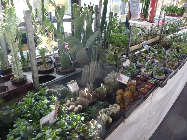 P1080150.JPG