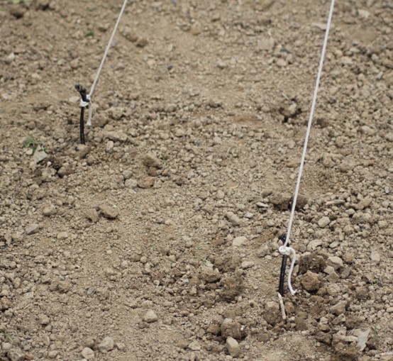tipi%20fils%20au%20sols.jpg