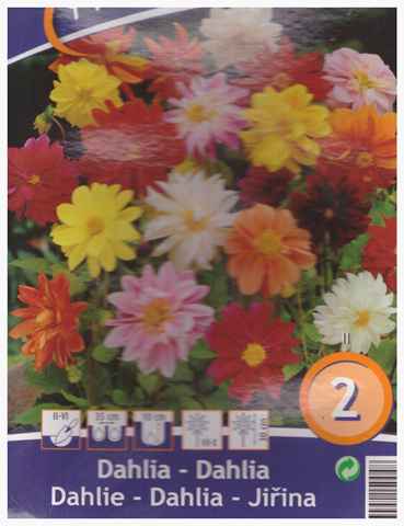 bulbe fleurs_004 (Copy).jpg