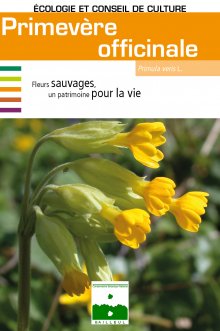 Les graines de cette bibliothèque correspondent à des espèces sauvages et à des écotypes locaux.