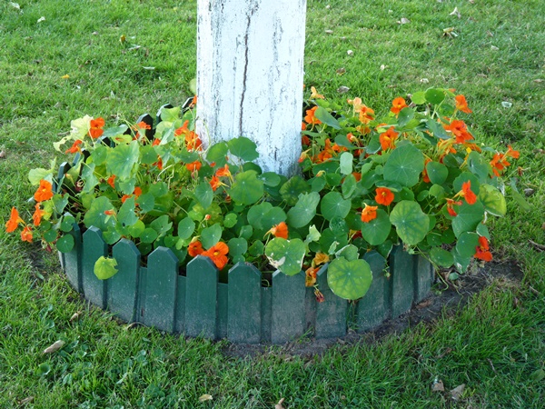 P1030319.JPG