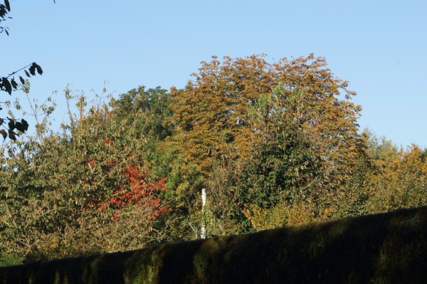 DSC07812.JPG
