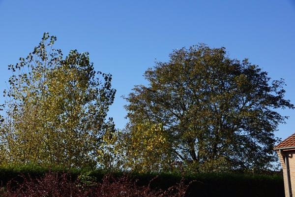DSC07848.JPG