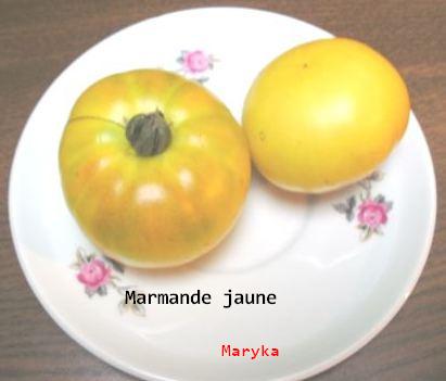 marmande jaune.JPG