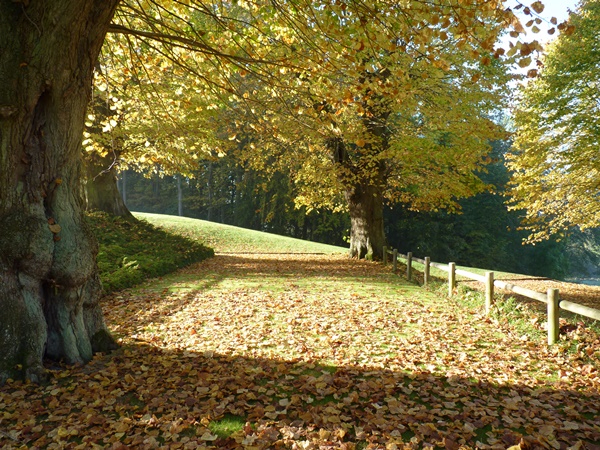 P1030944.JPG