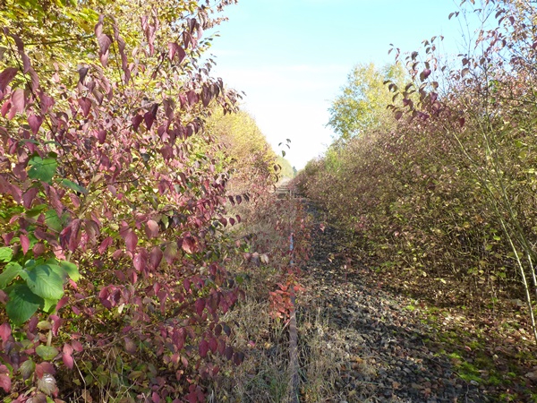 P1040014.JPG