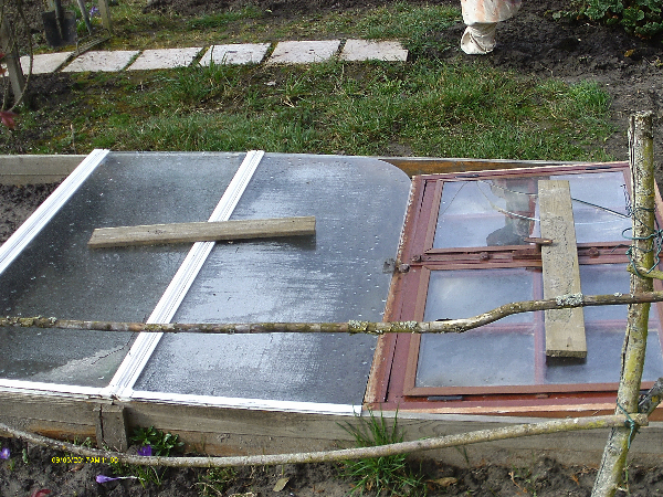 jardin 011.jpg