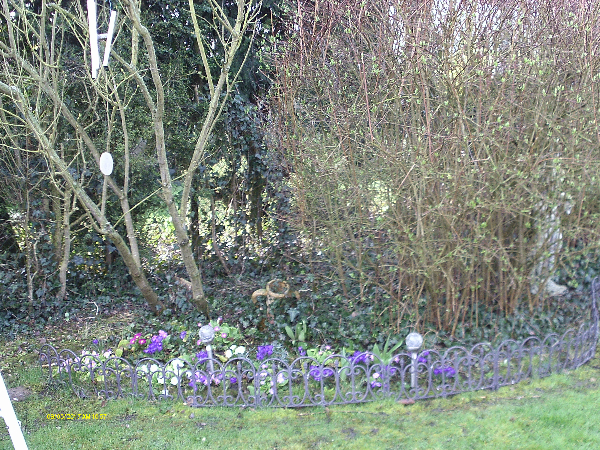 jardin 004.jpg