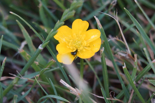 DSC08665.JPG