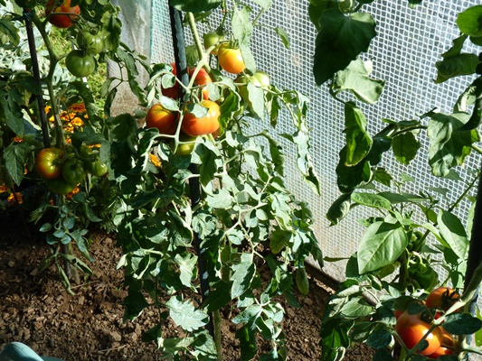 P1080174.JPG