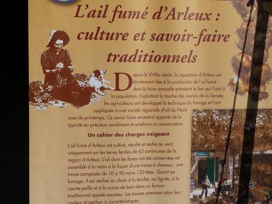 P1000459.JPG