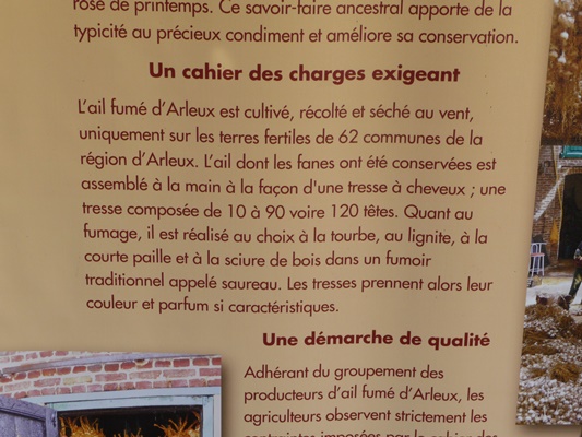 P1000460.JPG
