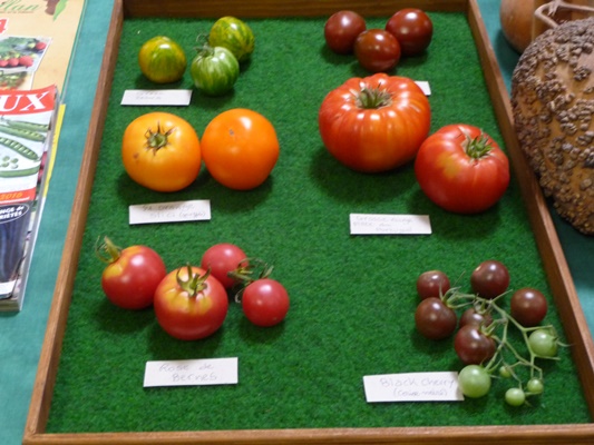 P1000485.JPG