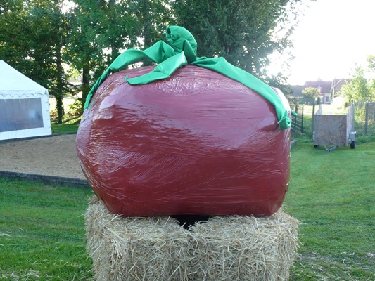 P1000486.JPG