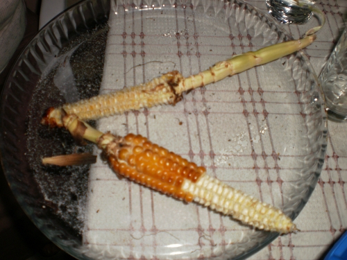 Oh!!!! Vous en vouliez ? Et bien c'est trop tard.