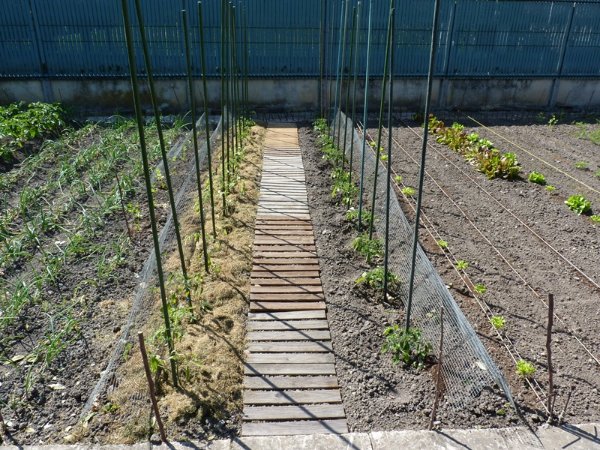 P1180783.JPG