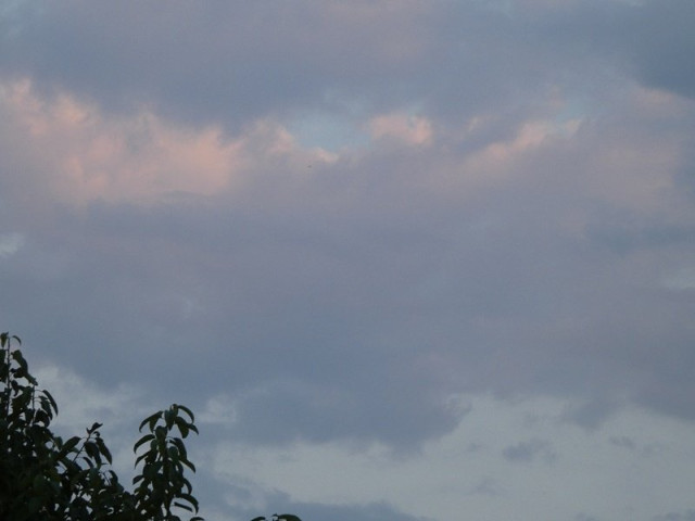 P1030350.JPG