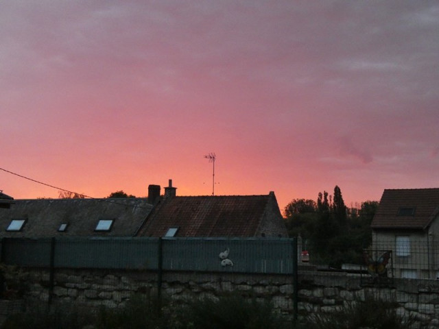 P1030674.JPG