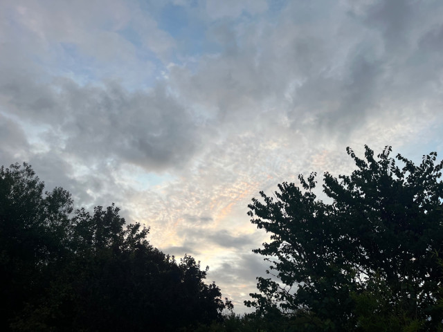 IMG_8195.jpeg