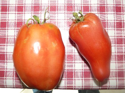 andine2.JPG