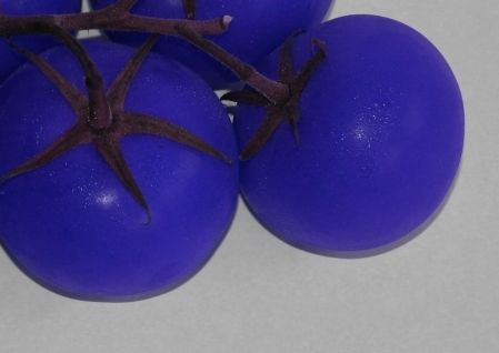 tomate_bleue.JPG