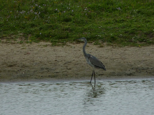 P1010240.JPG