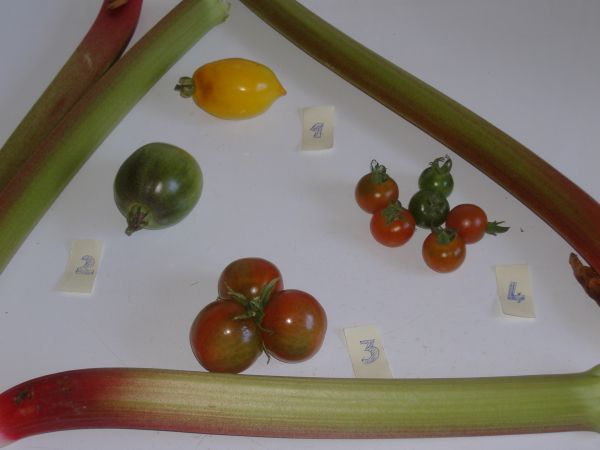 Tomates