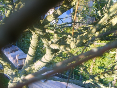 S5002137.JPG