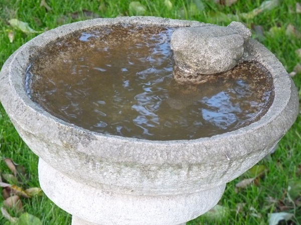 abreuvoir et baignoire