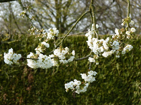 P1000533.JPG