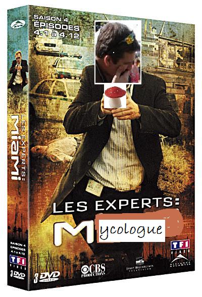 Les_Experts_Miami.jpg
