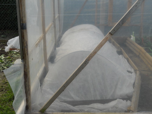 DSCN1070.JPG