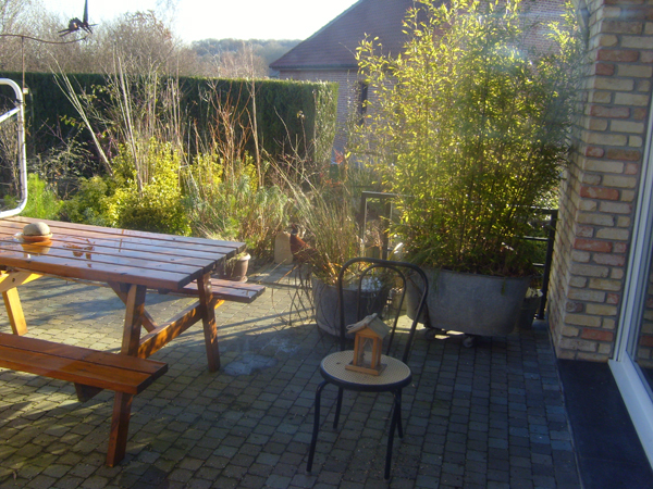 S7005629.JPG