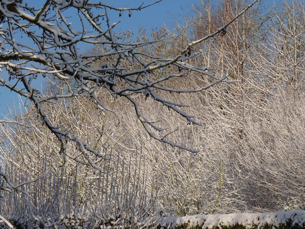 P1020019.JPG