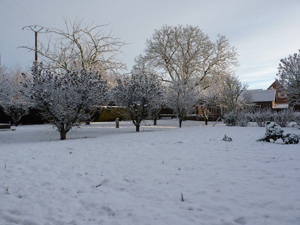Mon jardin