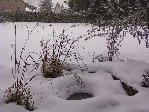 neige 012.jpg