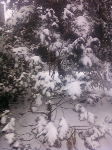 neige 2 003.jpg