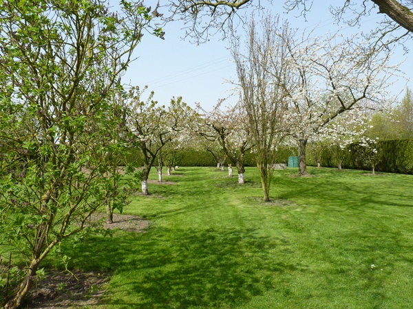 P1000563.JPG