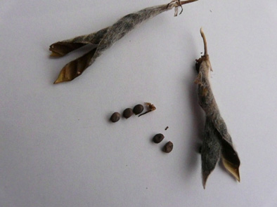 P1010201.JPG